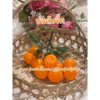 ราคา ส้มปลอม โมเดลส้ม ช่อส้มจี๊ดปลอม 1 ช่อมี 9 ลูก (9353150842)