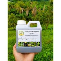 ราคา แบคทีเรียบาซิลลัสชนิดน้ำ สูตร 3 ควบคุมโรคพืช เช่น รากเน่าโคนเน่า แคงเกอร์ (13319949994)