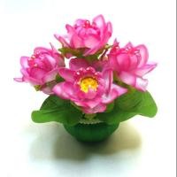 ราคา แจกันบัวหลวงสีชมพู ขนาดเล็ก แพค 1 อัน (651679369)