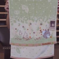 ราคา ผ้าขนหนู Totoro (3457088)