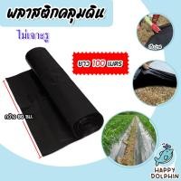 ราคา พลาสติกคลุมดิน ไม่เจาะรู กว้าง 80 ซม. ยาว 100 เมตร พลาสติกคลุมดิน ผ้ายางคลุมดิน พลาสติกคลุมวัชพืช พลาสติกดำ (22964168124)