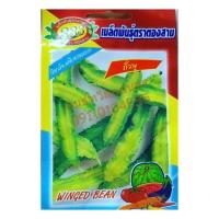 ราคา เมล็ด ถั่วพลู 333 (24400905719)