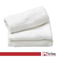 ราคา KASSA HOTEL ผ้าขนหนูเช็ดหน้า ขนาด 12 x 12 นิ้ว สีขาว (19317064652)