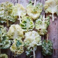 ราคา Casper​ Kale seeds 10 /pc. (7643408169)