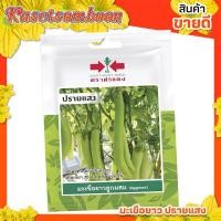 ราคา เมล็ดมะเขือยาว ปรายแสง ( 10 แถม 1 ) เมล็ดมะเขือยาว ศรแดง เมล็ดพันธุ์ผัก บรรจุ 50 เมล็ด/ซอง ตรา ศรแดง (10100246561)