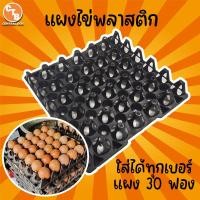 ราคา แผงไข่พลาสติก ถาดไข่ แผงไข่ไก่ แผงไข่ใส่ได้ทุกเบอร์ แผงละ 30 ฟอง (22534523313)