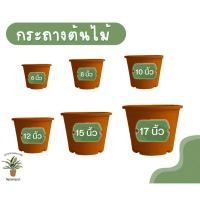 ราคา กระถางต้นไม้ สีอิฐ กระถางพลาสติก กระถางต้นไม้พลาสติก 4นิ้ว 6นิ้ว 8นิ้ว 10นิ้ว 12นิ้ว 15นิ้ว 17นิ้ว สีอิฐ (พลาสติกเกรด A) (29701819966)