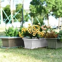 ราคา กระถางรางยาวเล็ก จัดสวน มี 3 สี กระถางแบบยาว ถาดปลูกต้นไม้ พลาสติก ทนทาน (25337211073)