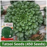ราคา เมล็ดพันธุ์ กวางตุ้งญี่ปุ่น แทตฉ่อย 450เมล็ด Tatsoi Seeds เมล็ดพันธุ์แท้ แท้ เมล็ดทัตซอย เมล็ดพันธุ์ผัก ผักสวนครัว บอนไซ (26110464043)