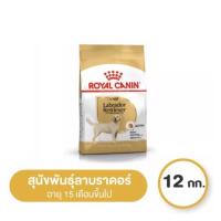 ราคา Royal Canin Labrador Retriever Adult 12 kg โรยัล คานิน อาหารสุนัขโต พันธุ์ลาบราดอร์ รีทรีฟเวอร์ (19601715925)