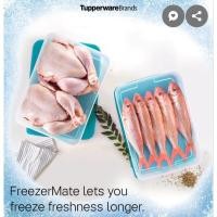 ราคา tupperware กล่องฟรีซเซอร์เมทจัมโบ้ กล่องแช่ช่องแข็ง ใบใหญ่จัมโบ้ (1ใบ) (28162096606)