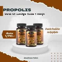 ราคา |AWL (Auswelllife) Propolis 60 แคปซูล 2 กระปุก ฟรี 1 กระปุก| โพรโพลิส ลดการระคายเคือง ผิวแพ้อักเสบได้ง่าย (22583615321)