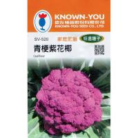 ราคา รักเมล็ด ต้นมะพร้าวสีม่วง กะหล่ำดอกCauliflower(SV-520)เมล็ดพันธุ์พิเศษสำหรับต้นกล้าของเกษตรกร ดอกไม้สีม่วง ที่อุดมไปด้วย (18524460106)