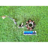 ราคา มัดไฟเทน่า โนวา 4 เกียร์ (HONDA) แท้มือสอง รับประกันสินค้าหลังการขาย (25609508619)