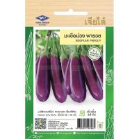ราคา เมล็ดมะเขือม่วง พันธุ์พารวย(รหัส A3173) (24977335336)