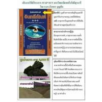 ราคา ปุ๋ยมูลค้างคาว ตราอินทรีภัณฑ์ 6-3-3 (12106980417)