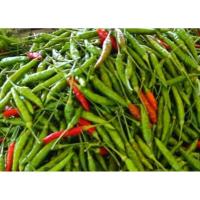 ราคา พริกขี้หนูสวนสดสะอาด (25133217470)