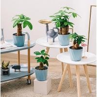 ราคา กระถางต้นไม้ กระถางต้นไม้พร้อมถาดรอง กะถางต้นไม้มินิมอล กระถางต้นไม้พลาสติก (12113001095)