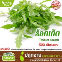 ราคา เมล็ดพันธุ์ผักสลัด ร็อคเก็ตสลัด 500เมล็ด อัตราการงอก95% เมล็ดพันธุ์ ผักสลัด เมล็ดผัก เมล็ดผักสลัด(แถมฟรี!!! เมล็ดผักกวาง (5632224759)