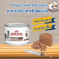 ราคา Royal Canin Recovery อาหารเปียก สำหรับสุนัขและแมว ป่วยพักฟื้น อาหารสัตว์ป่วย (9316759290)