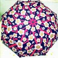 ราคา ร่มพับญี่ปุ่นแท้ ลายดอกซากุระ สีน้ำเงิน กว้าง55cm (1203977725)