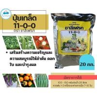 ราคา ปุ๋ยเกล็ด 11-0-0 ขนาด 20 กิโลกรัม ปุ๋ยเขียว เร่งเติบโต เร่งราก ใบเขียว ใบมัน ใบหนา ขยายใบ ลำต้นแข็งแรง แมกนีเซียม ไนเตรท (28403176012)