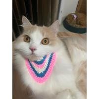 ราคา ปลอกคอไหมพรม งานแฮนด์เมด ปลอกคอสัตว์เลี้ยงไหมพรม ปลอกคอน้องหมาน้องแมว (27563371434)