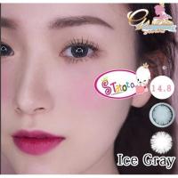 ราคา Ice Gray TATOTO Contact Lenses บิ๊กอาย #206 (7012829017)