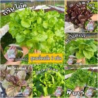 ราคา ชุดเมล็ดพันธุ์ผักสลัดออร์แกนิค 6 ชนิด (29059052181)