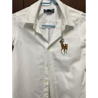 ราคา Polo Ralph luaren เสื้อเชิ๊ตคอโปโลสีขาวเด็ก ม้าใหญ่ แบรนด์เนมแท้ อก 28-30" (24750949000)