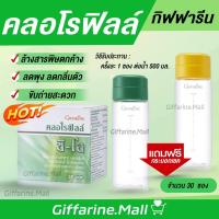 ราคา คลอโรฟิลล์ กิฟฟารีน CHLOROPHYLL C-O GIFFARINE คลอโรฟิล ซี โอ คลอโรฟิว 100% คลอโรฟิลล์กิฟฟารีน (19403336123)