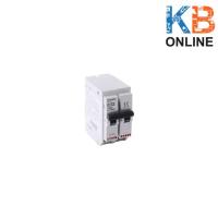 ราคา เมนเบรกเกอร์ Circuit breaker BTP2C H 2P A 10KA BTICINO (7635496368)