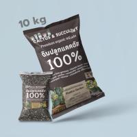 ราคา ดินแคคตัส ดินปลูกแคคตัส (10 kg) ดินปลูกไม้อวบน้ำทุกชนิด cactus ผสมสำเร็จพร้อมปลูก แคคตัส กุหลาบหิน ไลทอป ไม้อวบน้ำ (21769012216)