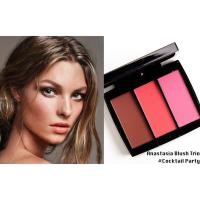 ราคา ANASTASIA Blush Trio Cocktail Party (1381269239)