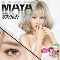ราคา คอนแทคเลนส์ Maya(Brown) (2096123604)