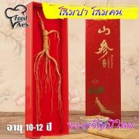 ราคา โสมป่า โสมคน โสมฉางไป๋ ของขวัญปีใหม่ โสมภูเขาป่า อายุ 10-12 ปี รหัส F-006 (23086237359)