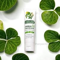 ราคา ยาสีฟันสมุนไพร กรีนเฮิร์บ 30 กรัม Green Herb herbal clove toothpaste (1 หลอด ยาสีฟัน สมุนไพร) (13599237135)