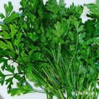 ราคา อินทรีย์ ใหม่ สายพันธุ์ เมล็ดพันธุ์คุณภาพสูงในสต็อกในประเทศไทย พร้อมส่งเมล็ดอวบอ้วน หอมแย้ ยำแย้ ลำแย้ อีแงะ ผักสะแงะ (20644167960)