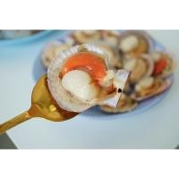 ราคา หอยเชลล์ครึ่งฝา แช่แข็ง 1kg scallop half shell (14746857883)