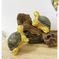 ราคา bitcoin เต่าทองกระดองเขียว 1 คู่(สีทอง) . (19877140317)