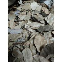 ราคา ใบกระวาน ปอโคว่เอียะ ใบกระวานแห้ง (27055863878)