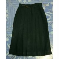 ราคา กระโปรงนักเรียนมือสอง (4906148802)