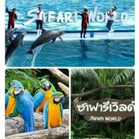 ราคา บัตรซาฟารีเวิลด์ Safari World ค่าเข้าทั้ง 2โซน ราคาถูก (1344536184)
