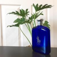 ราคา น้ำหอมแท้แบ่งขายRalph Lauren Polo Blue EDP 200 ml. (4241356833)