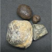 ราคา เครื่องรางของทนสิทธิ์ คตหอยทับปิด,เหล็กไหลน้ำ,เพชรหน้าทั่งที่ได่รับการอธิฐาษจิต จากพ่อท่านรวย วัดทุ่งสันติธรรม (20651933095)