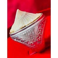 ราคา แหวนเงิน หัวกระเบน ปลาโรนิน หัวใหญ่ๆ (เงินแท้) 925 (26718061135)