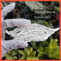 ราคา รักนกแท้ รังนกนางแอ่น รังนกแห้ง รังนกทรงปลาหมึก 1 รัง (27517853656)