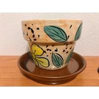 ราคา กระถางเซรามิก ญี่ปุ่น (5753473748)