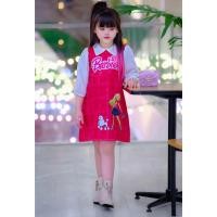 ราคา NA / เดรสบาร์บี้ รุ่นแขนยาว ผ้าซาร่า ซิปหลัง เสื้อผ้าเด็กผู้หญิงและแฟชั่น (23057915443)