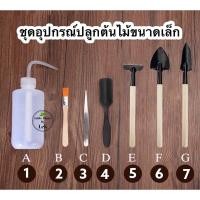ราคา ชุดปลูกต้นไม้จิ๋ว 7 ชิ้น ชุดปลูกสำหรับมือใหม่ขนาดน่ารัก (10066102243)